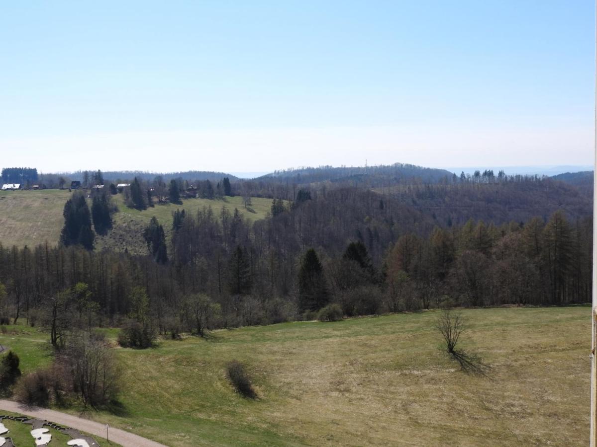 Zum Kuckuck Noch Mal
